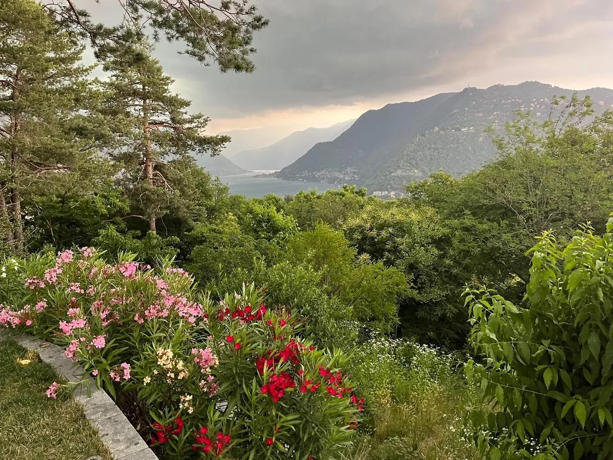 Apartment Studio - Villa Cardano Como